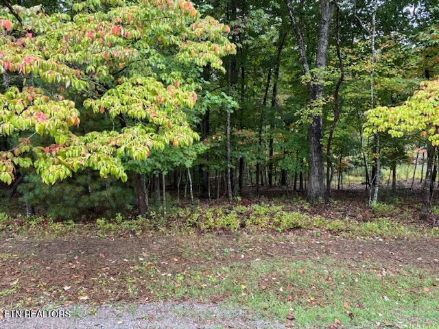 27 Chatham Court Fairfield Glade TN 38558