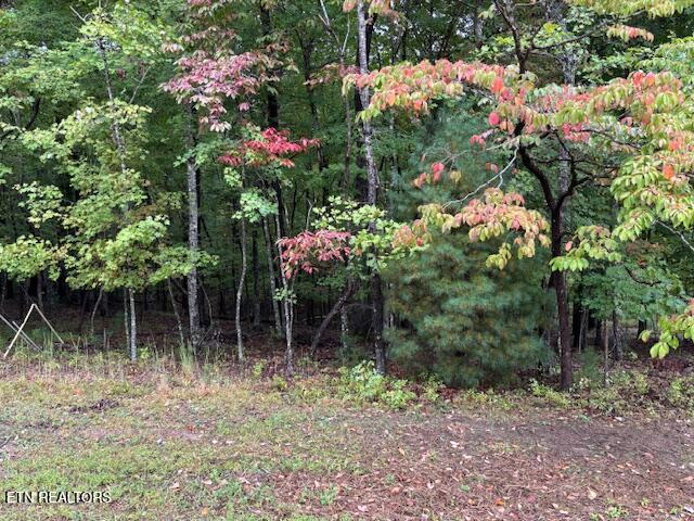 27 Chatham Court Fairfield Glade TN 38558