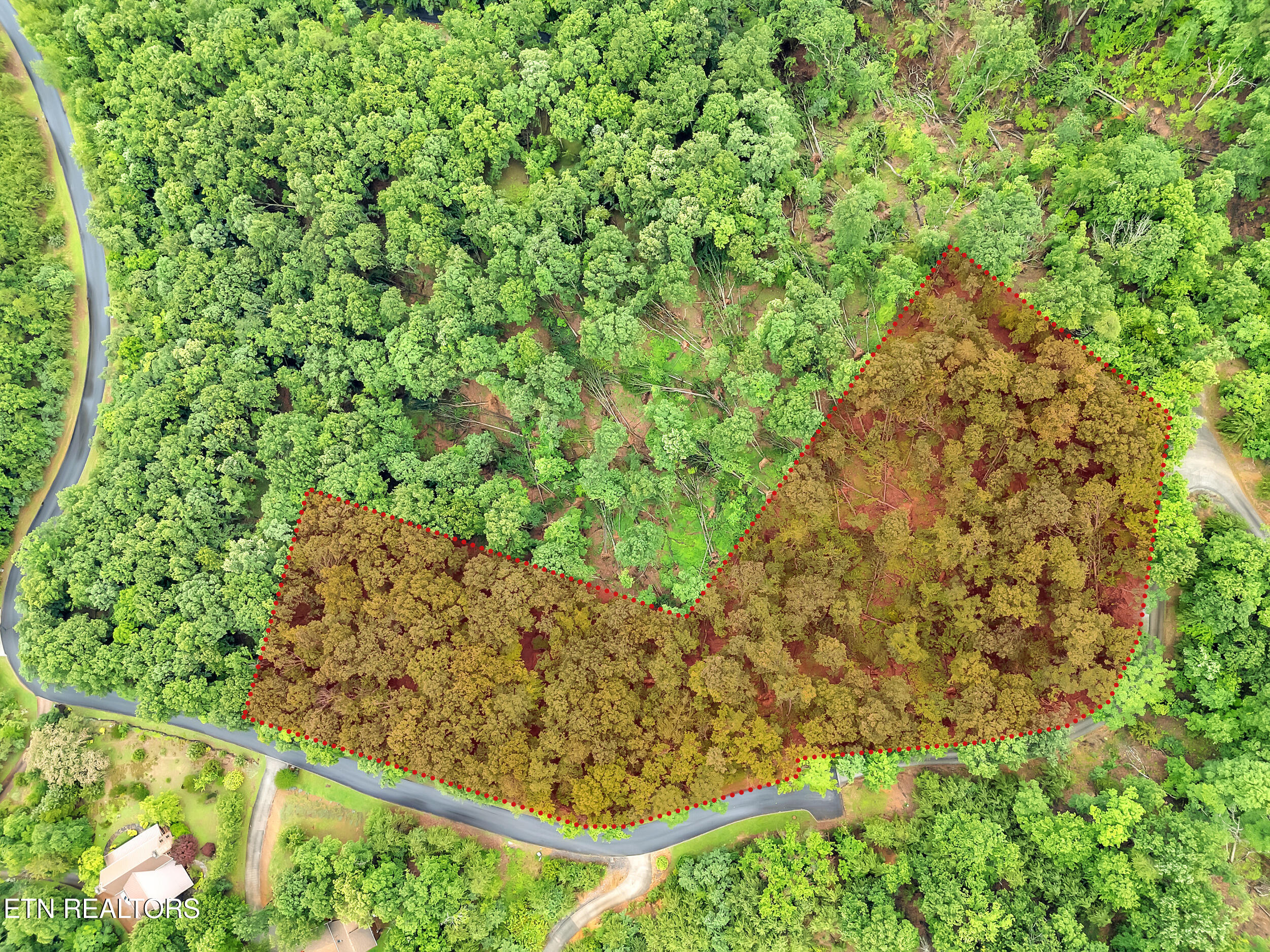 9097 Paradise View Drive Mooresburg TN 37811