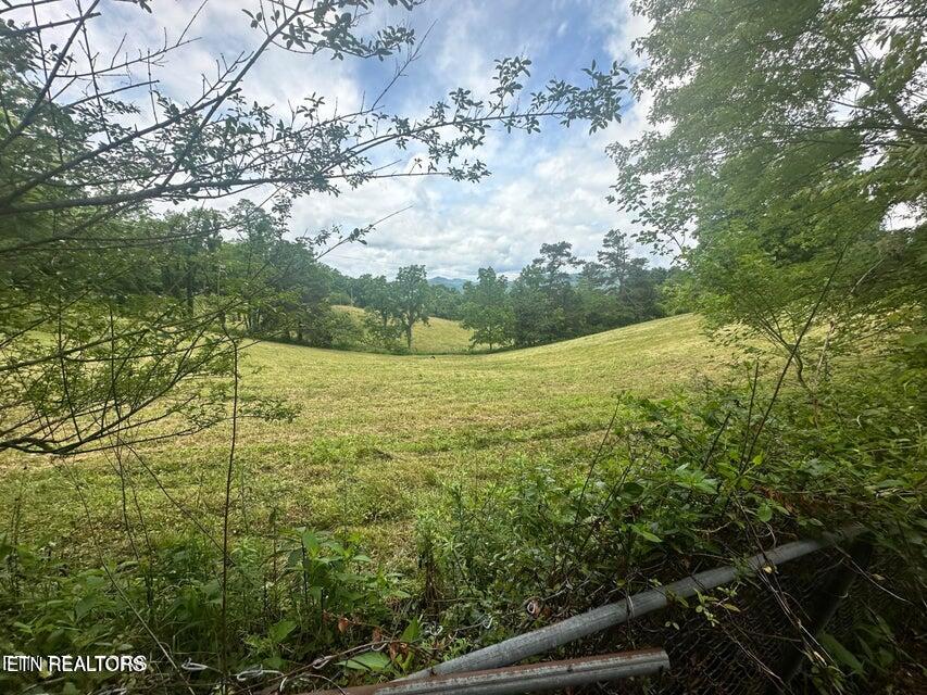 1123 Pleasant Ridge Road Lafollette TN 37766