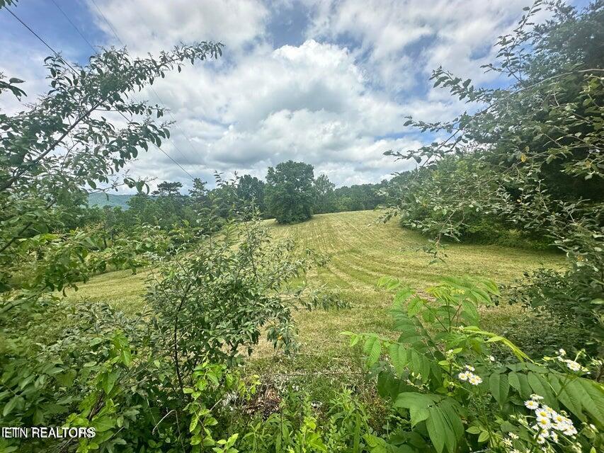 1123 Pleasant Ridge Road Lafollette TN 37766