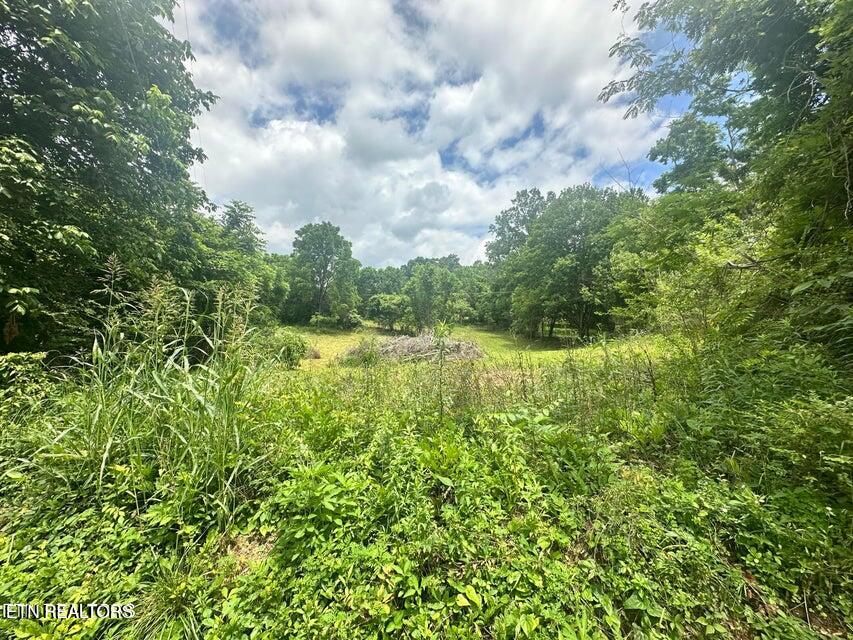 1123 Pleasant Ridge Road Lafollette TN 37766