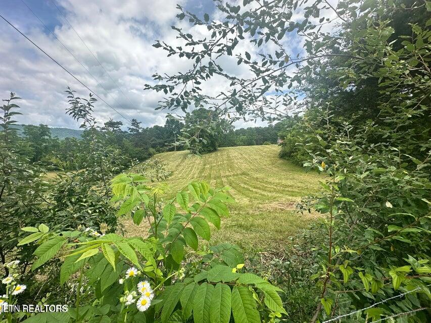 1123 Pleasant Ridge Road Lafollette TN 37766