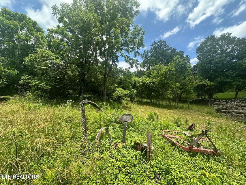 1123 Pleasant Ridge Road Lafollette TN 37766