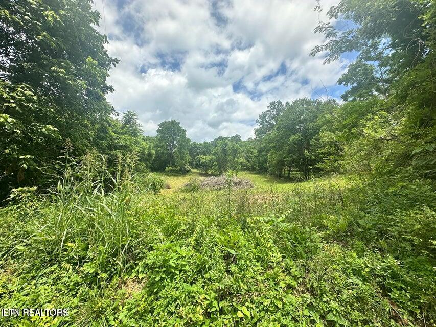 1123 Pleasant Ridge Road Lafollette TN 37766