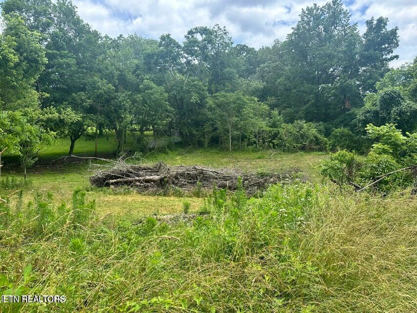 1123 Pleasant Ridge Road Lafollette TN 37766