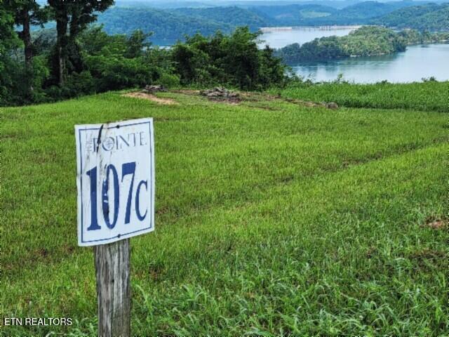 Lot 107c Sunfish Lane Hilham TN 38568