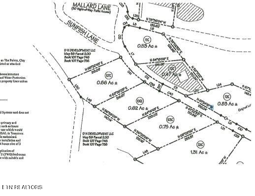 Lot 107c Sunfish Lane Hilham TN 38568