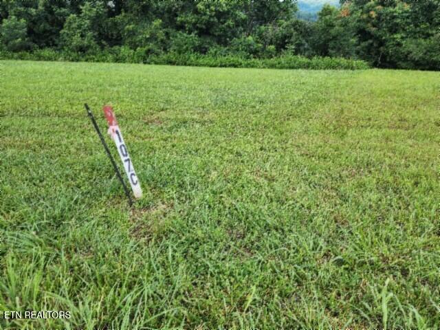 Lot 107c Sunfish Lane Hilham TN 38568