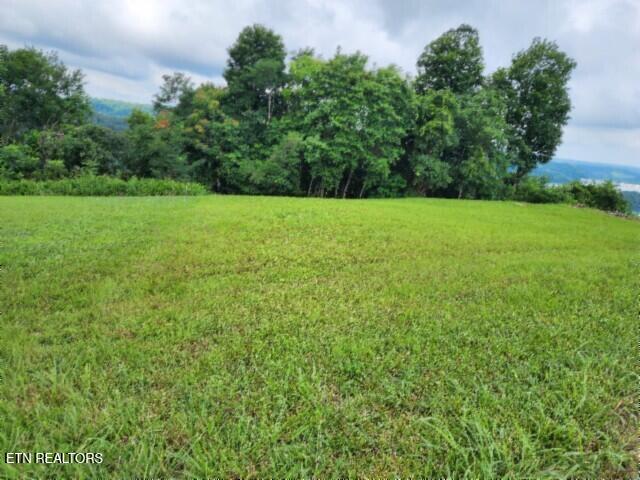 Lot 107c Sunfish Lane Hilham TN 38568