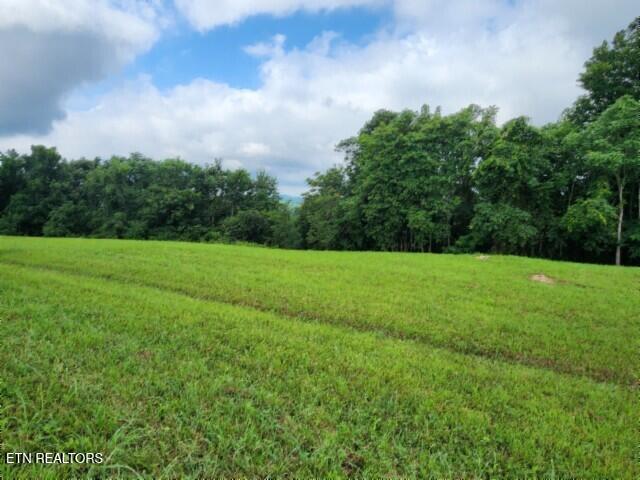 Lot 107c Sunfish Lane Hilham TN 38568