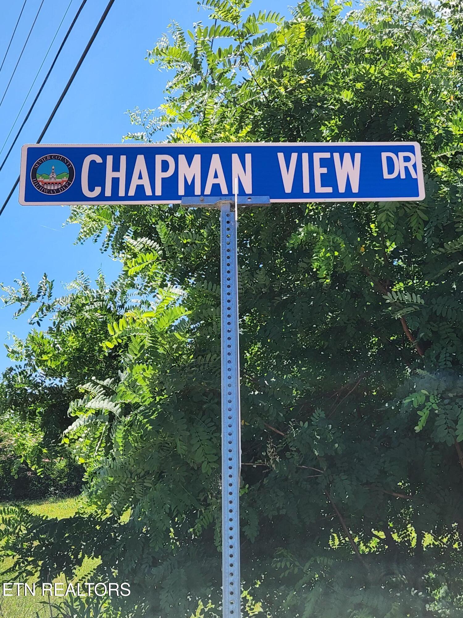 Chapman View Drive Seymour TN 37865