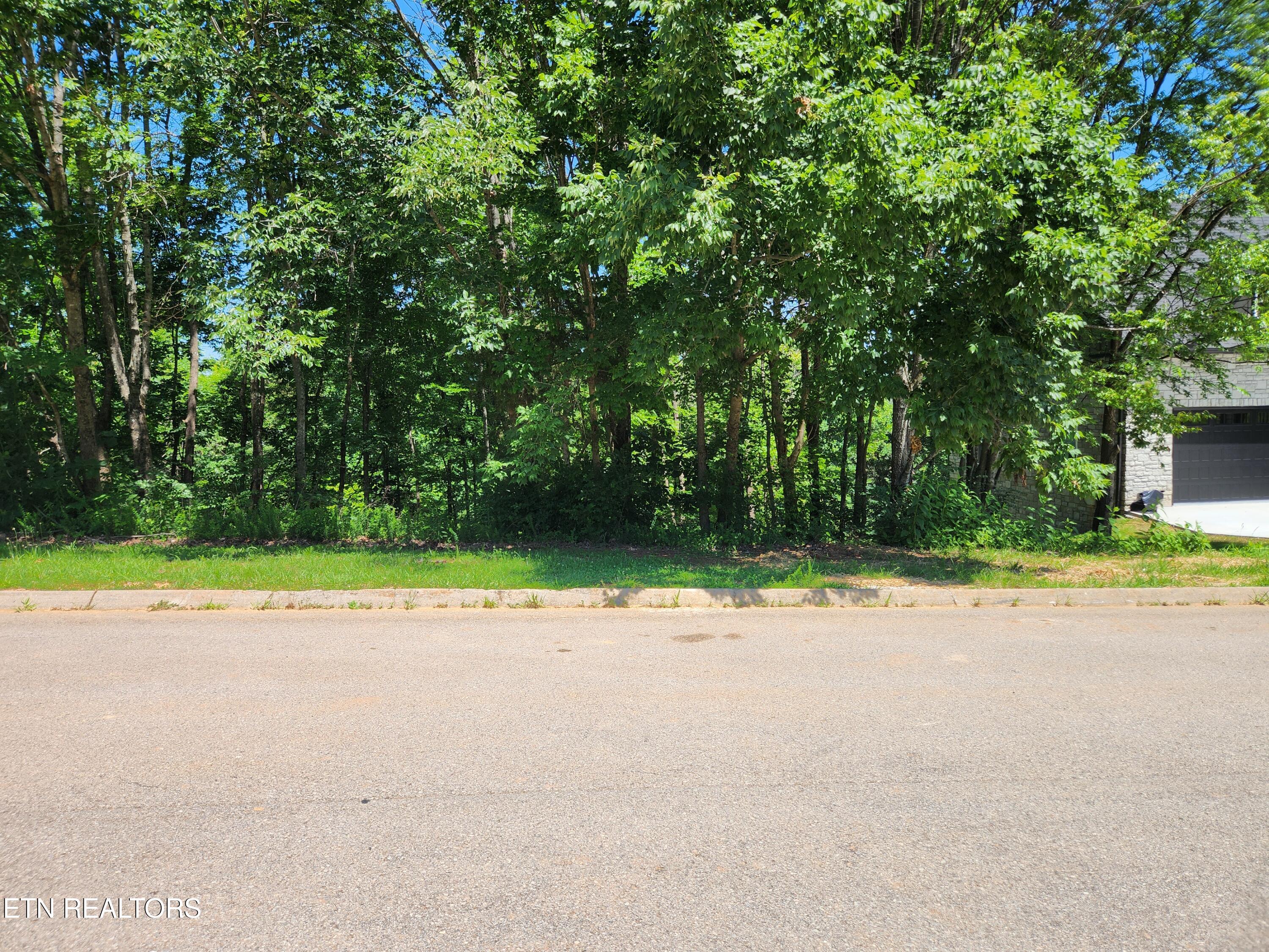 Chapman View Drive Seymour TN 37865