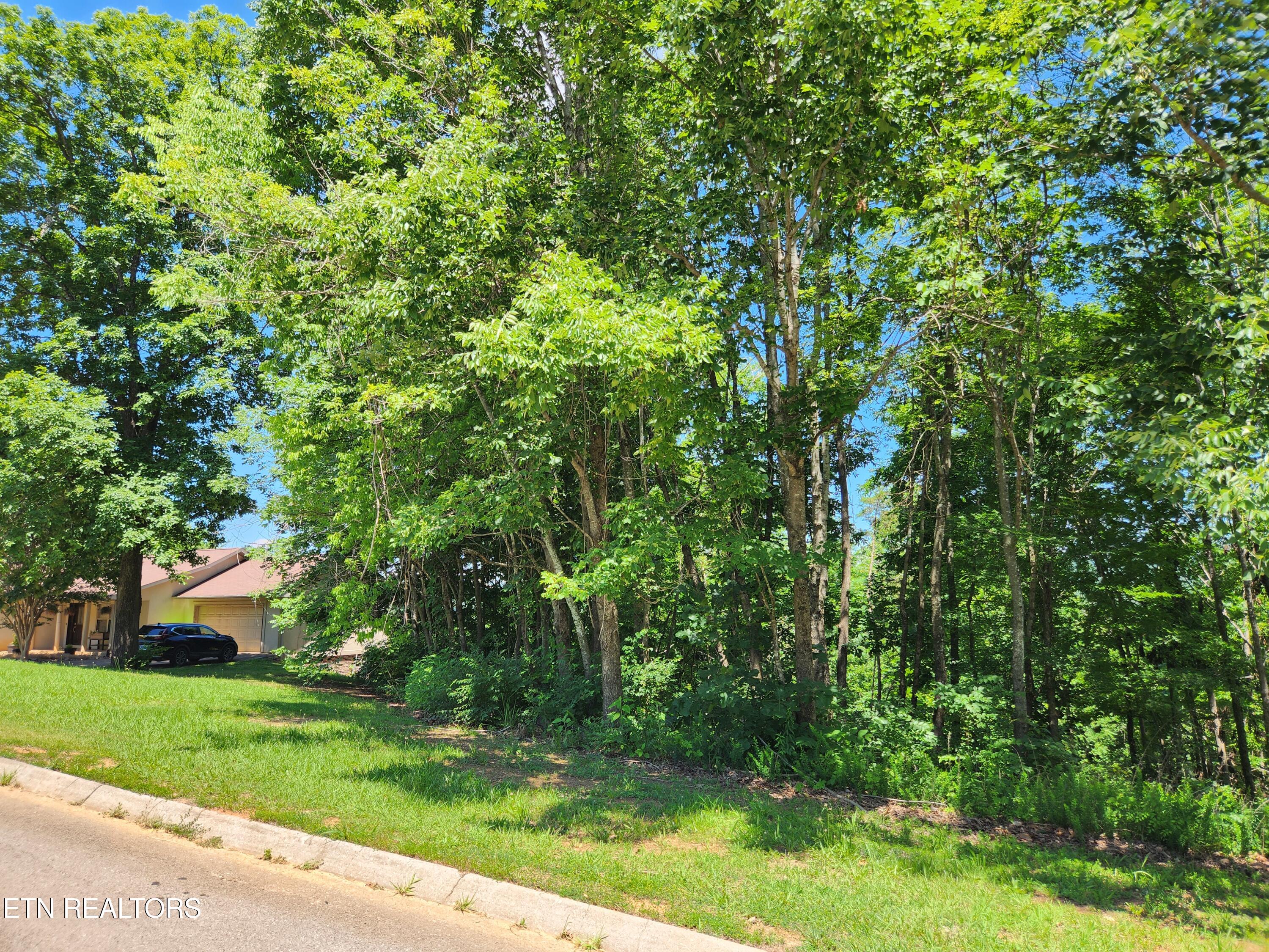 Chapman View Drive Seymour TN 37865