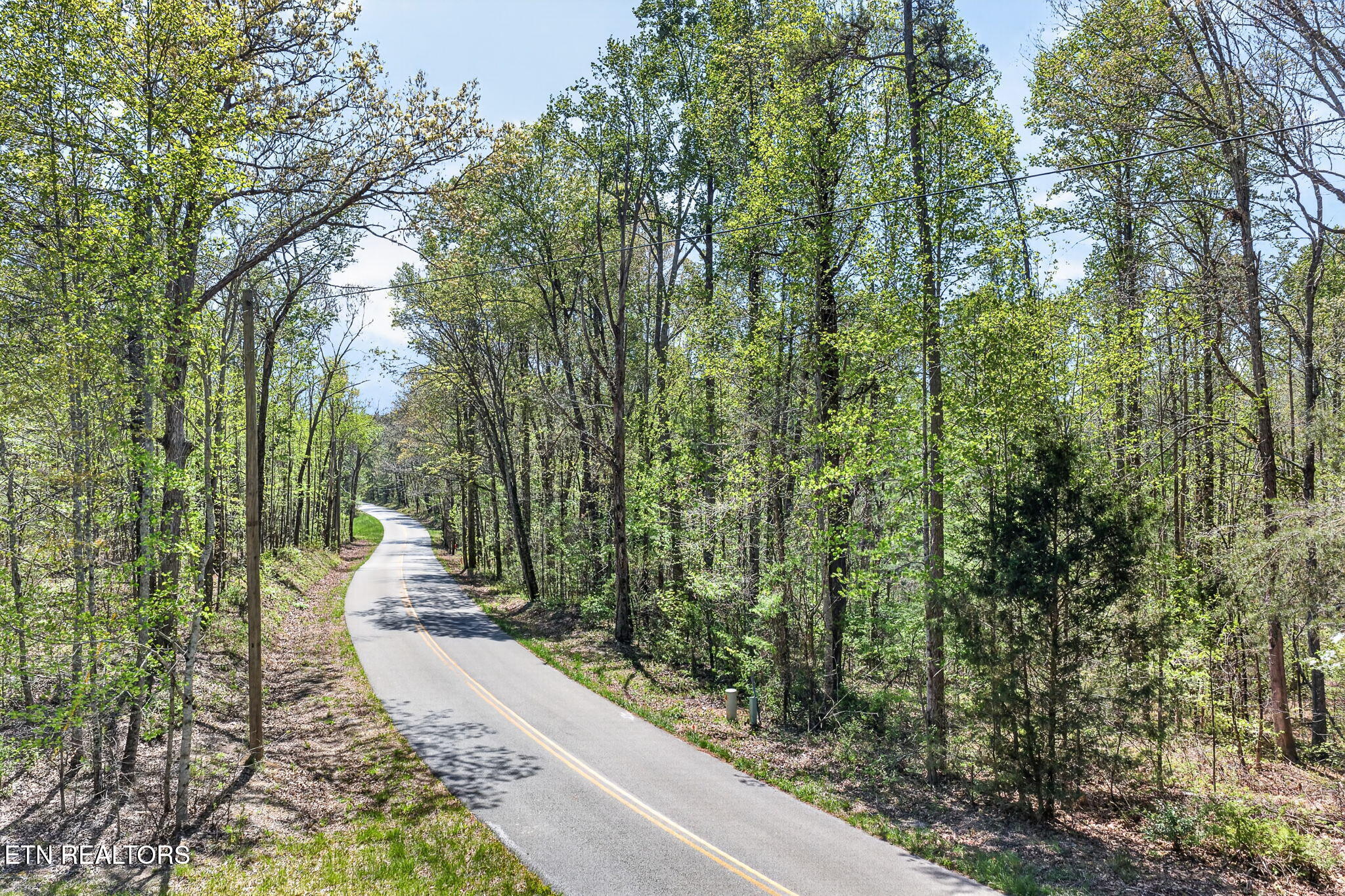 Lot 3 Smith Mountain Road Rockwood TN 37854
