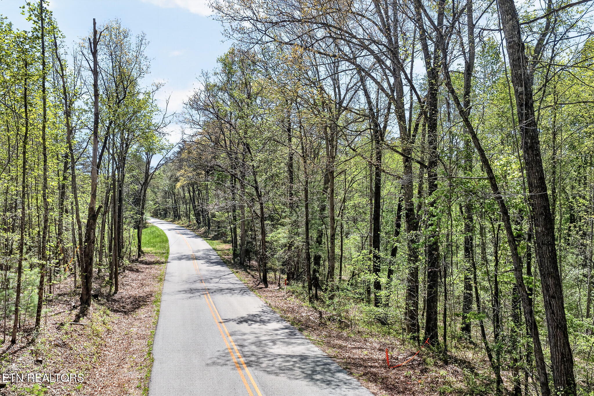 Lot 3 Smith Mountain Road Rockwood TN 37854