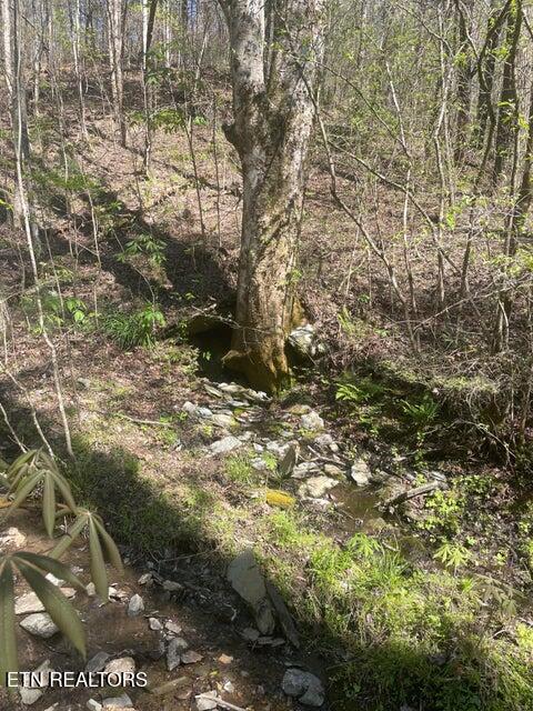 Lot 1 Old Furnace Road Tellico Plains TN 37385