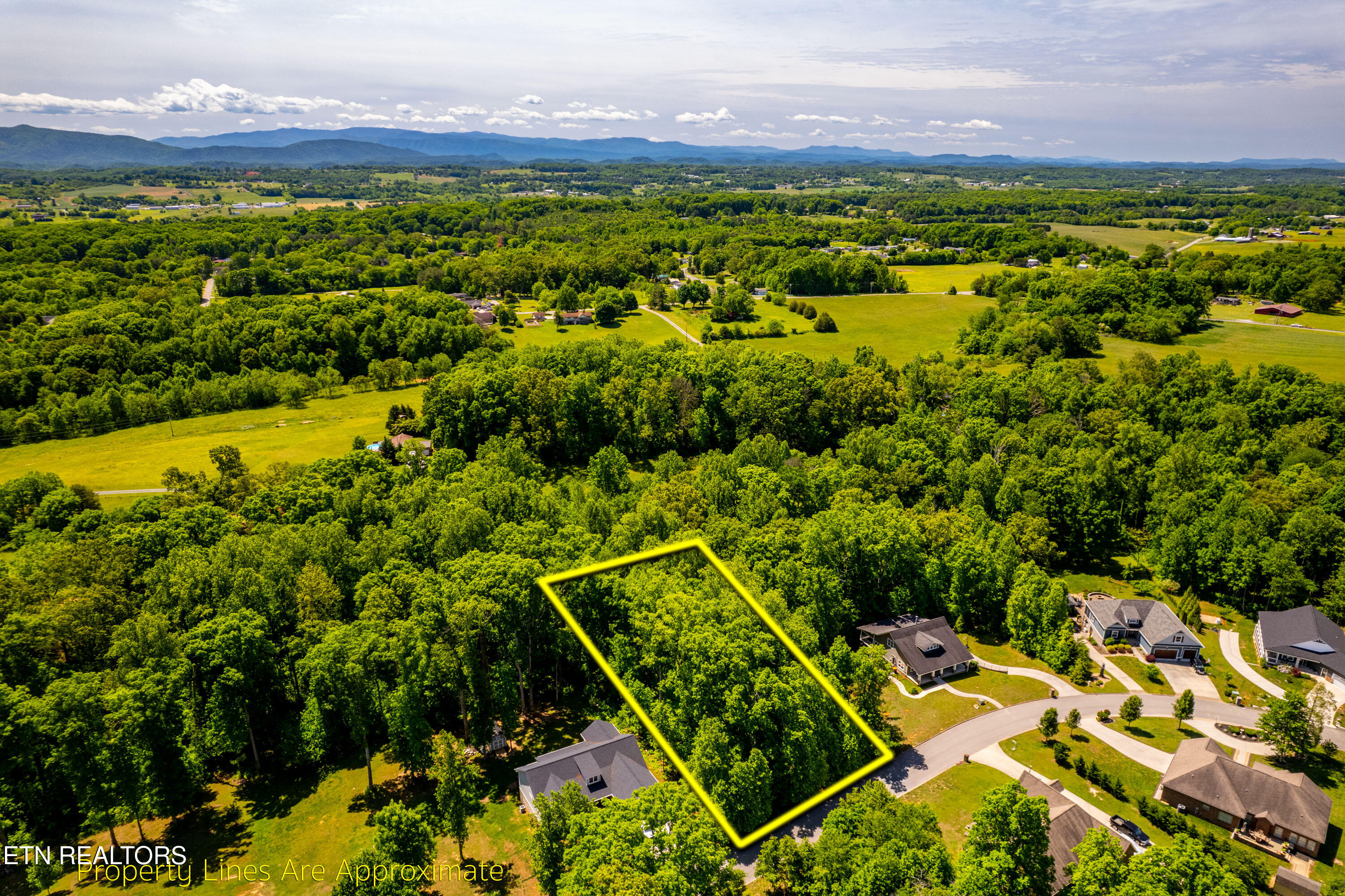 1055 Houston Springs Road Greenback TN 37742