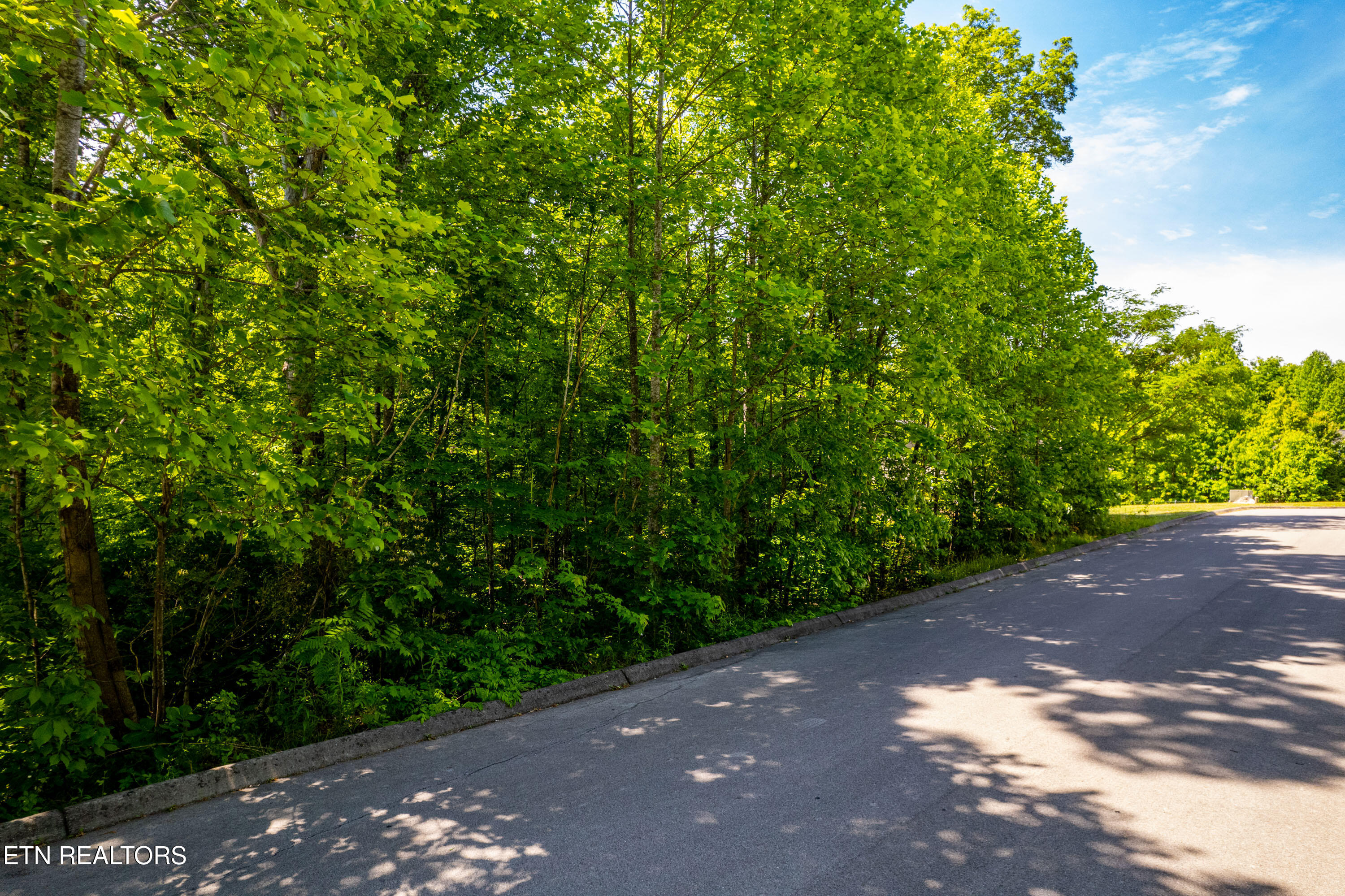 1055 Houston Springs Road Greenback TN 37742