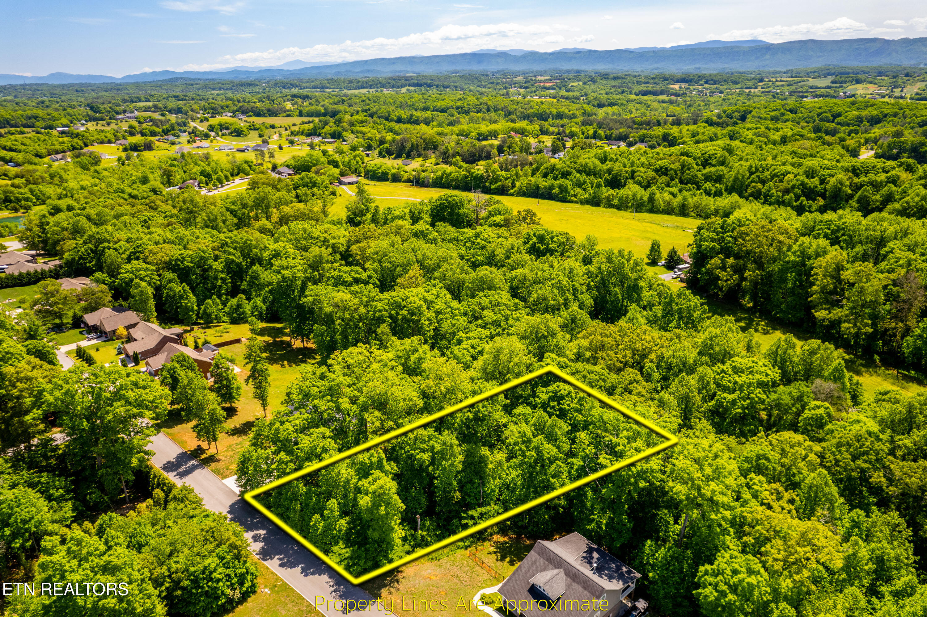 1055 Houston Springs Road Greenback TN 37742