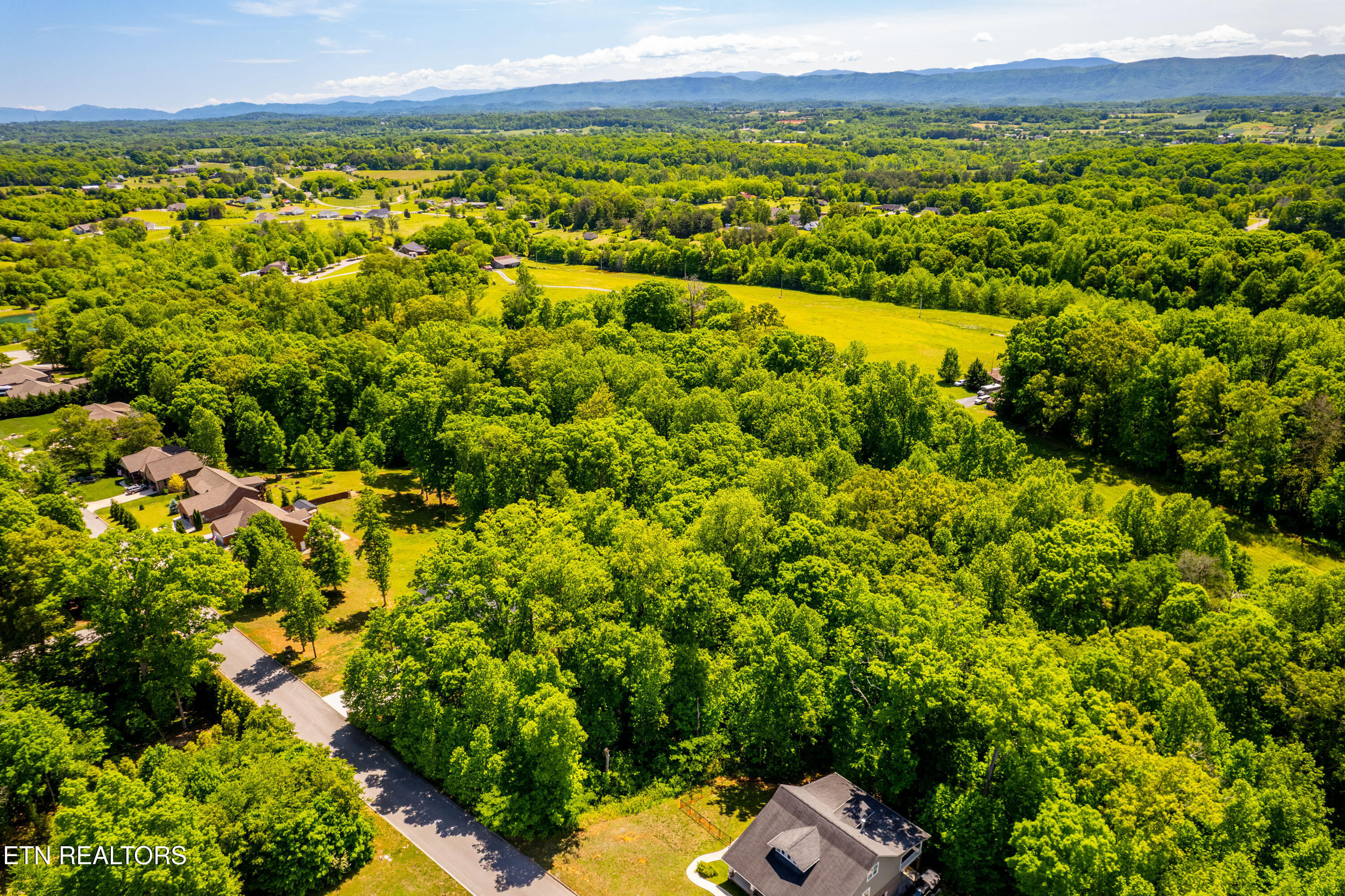 1055 Houston Springs Road Greenback TN 37742