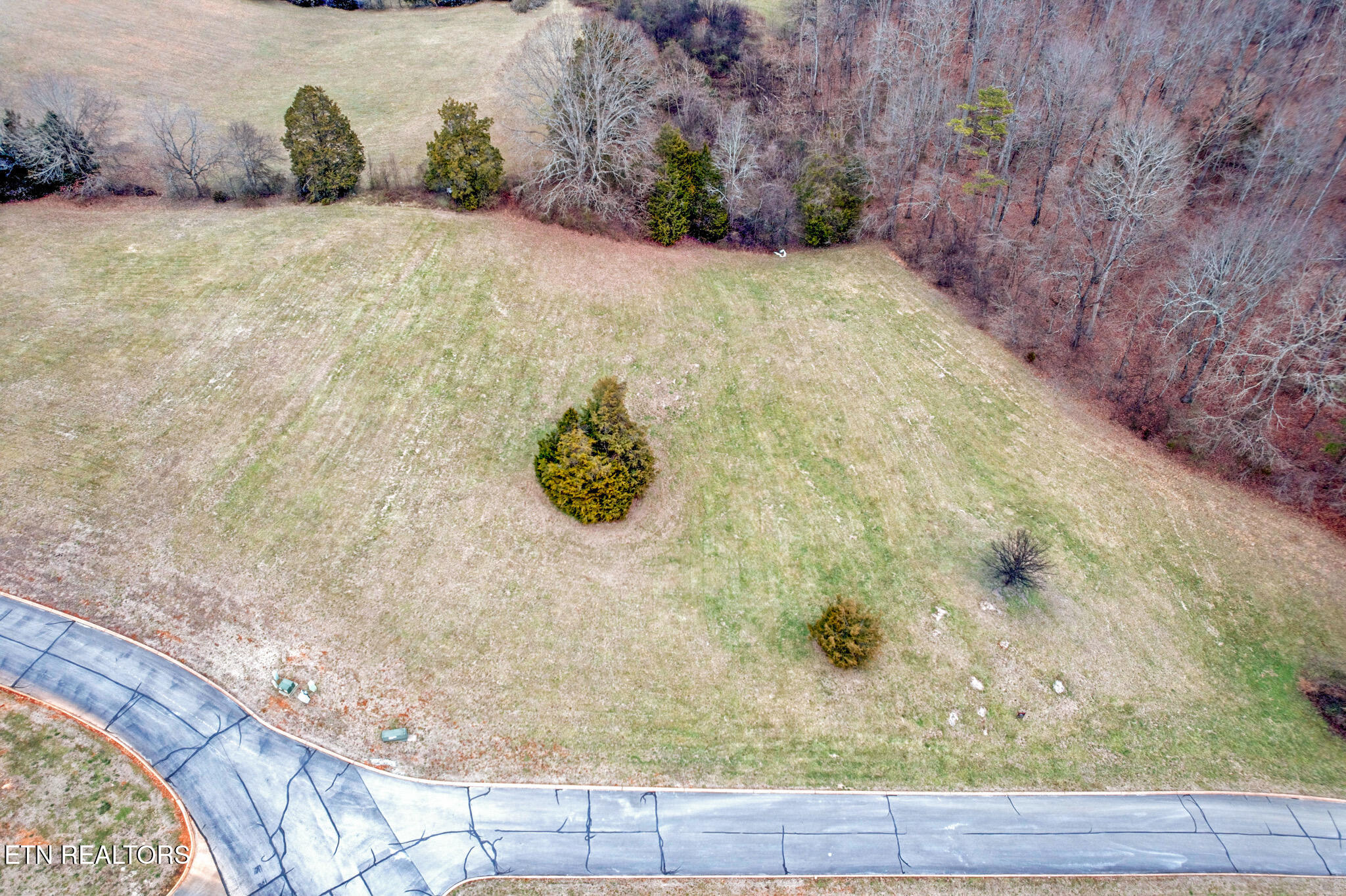Lot 65 Cow Poke Lane Rutledge TN 37861