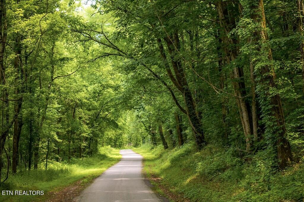 00 Spring Creek Road Cookeville TN 38501
