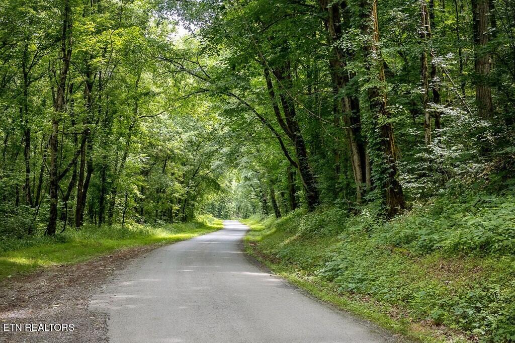 00 Spring Creek Road Cookeville TN 38501