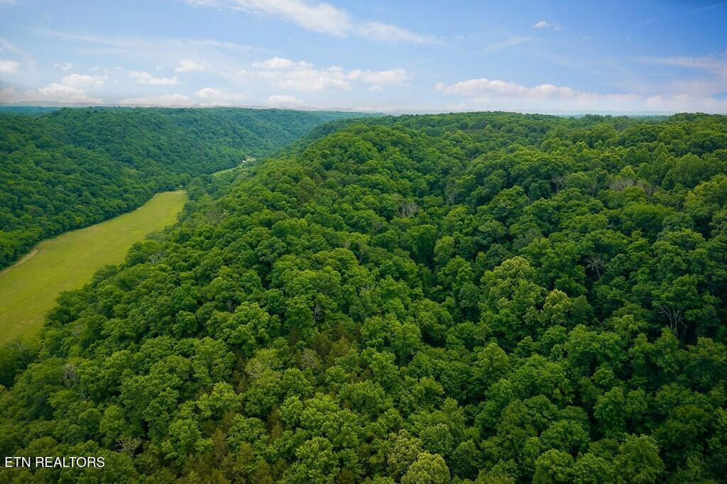00 Spring Creek Road Cookeville TN 38501