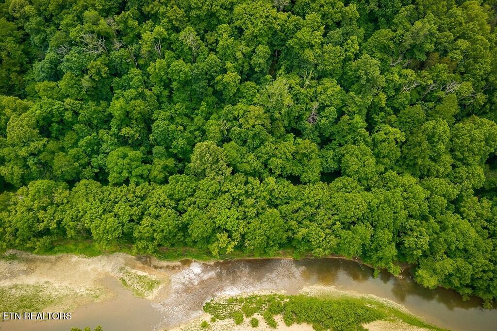 00 Spring Creek Road Cookeville TN 38501