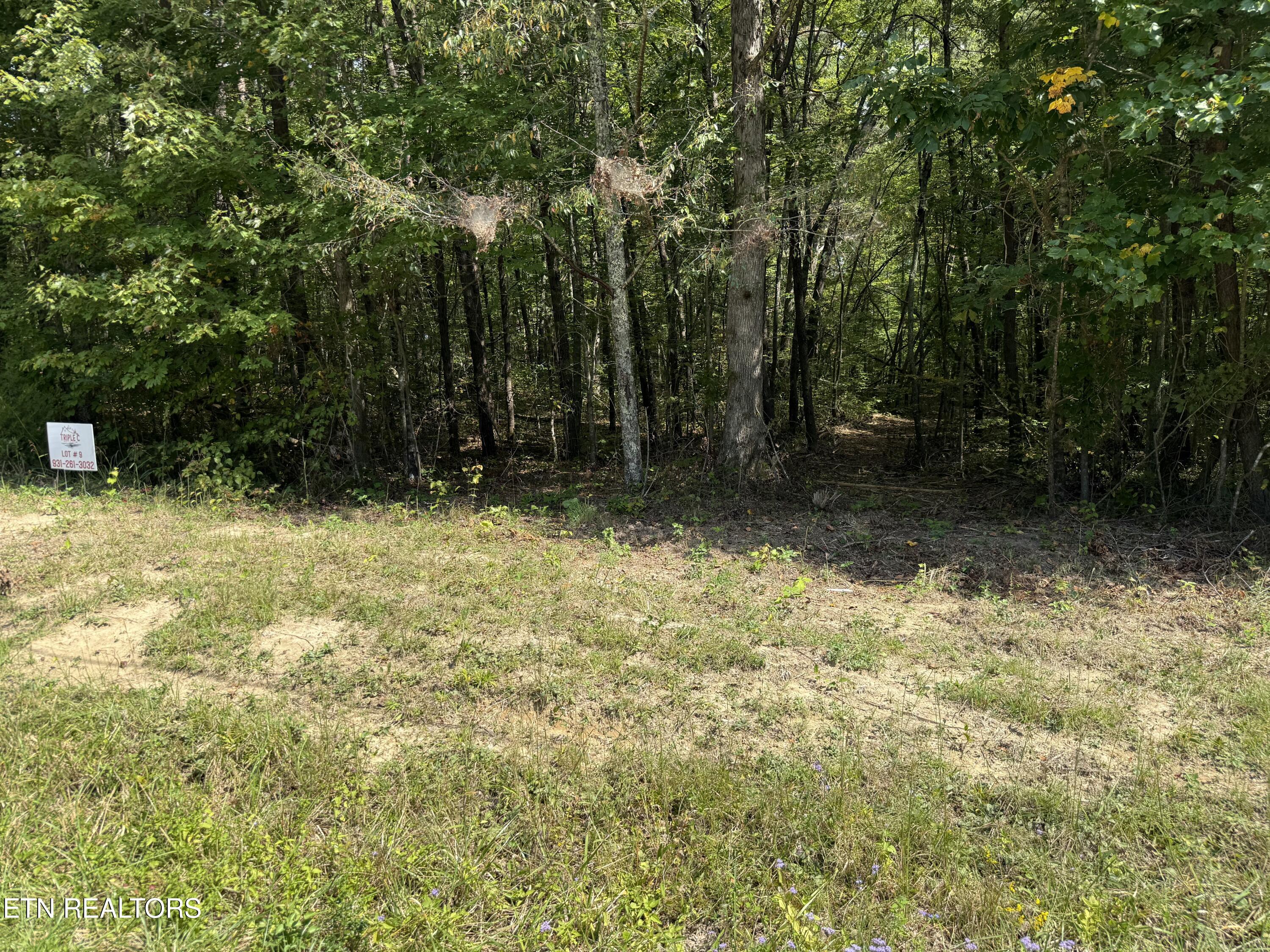 0 Mountain Laurel Trail Clarkrange TN 38553