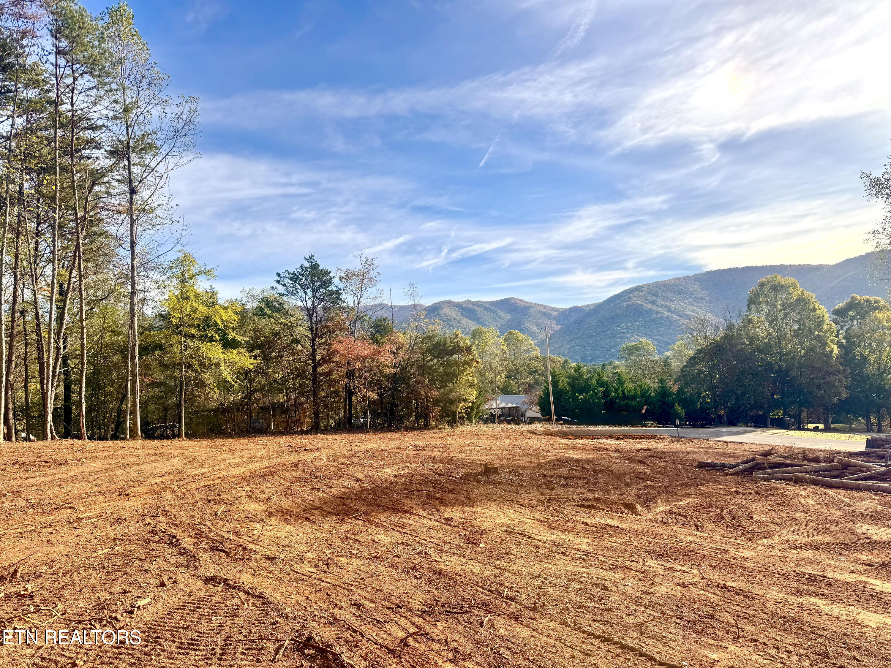 Lot 3 Peachie Way Cosby TN 37722
