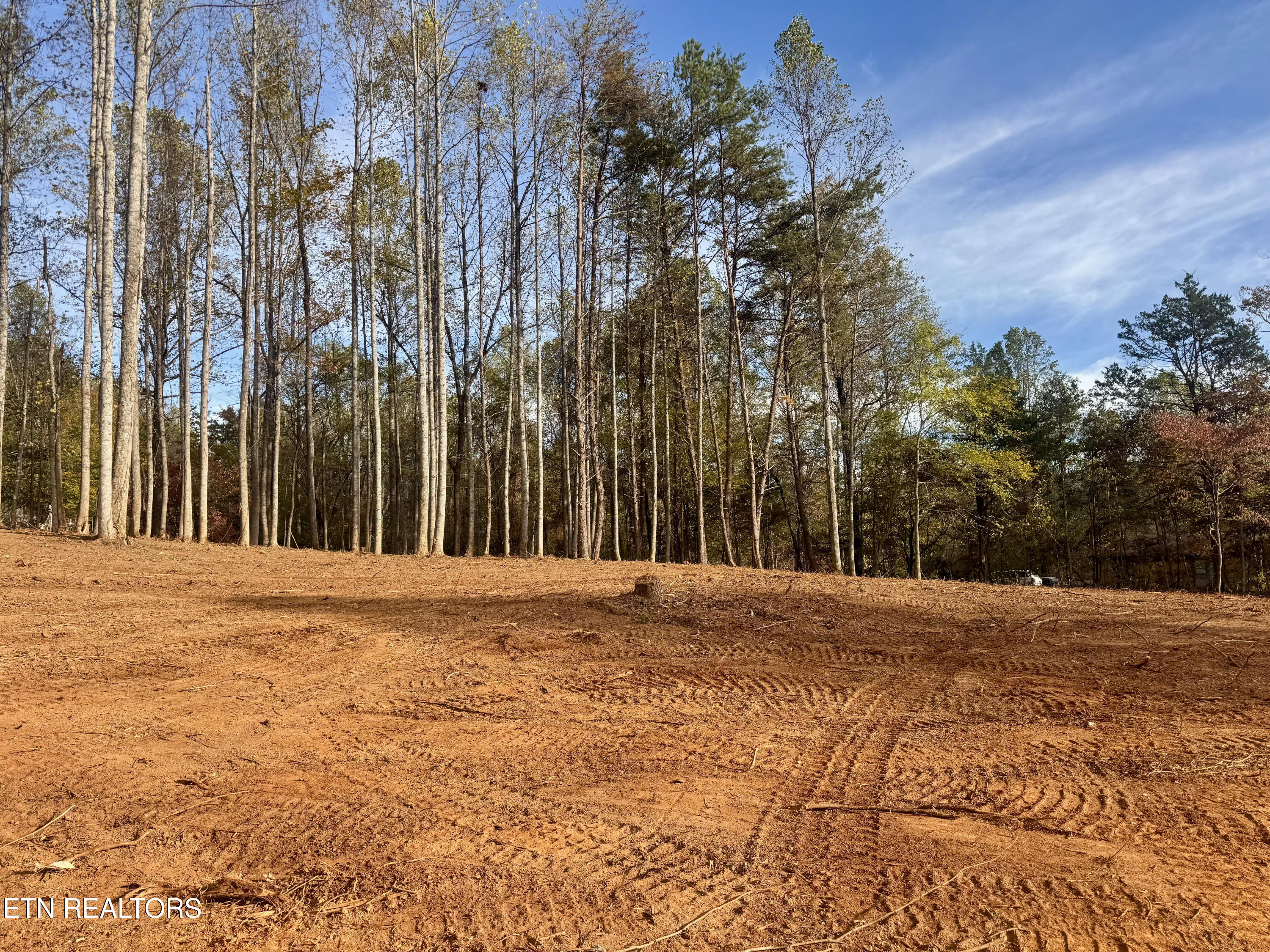 Lot 3 Peachie Way Cosby TN 37722