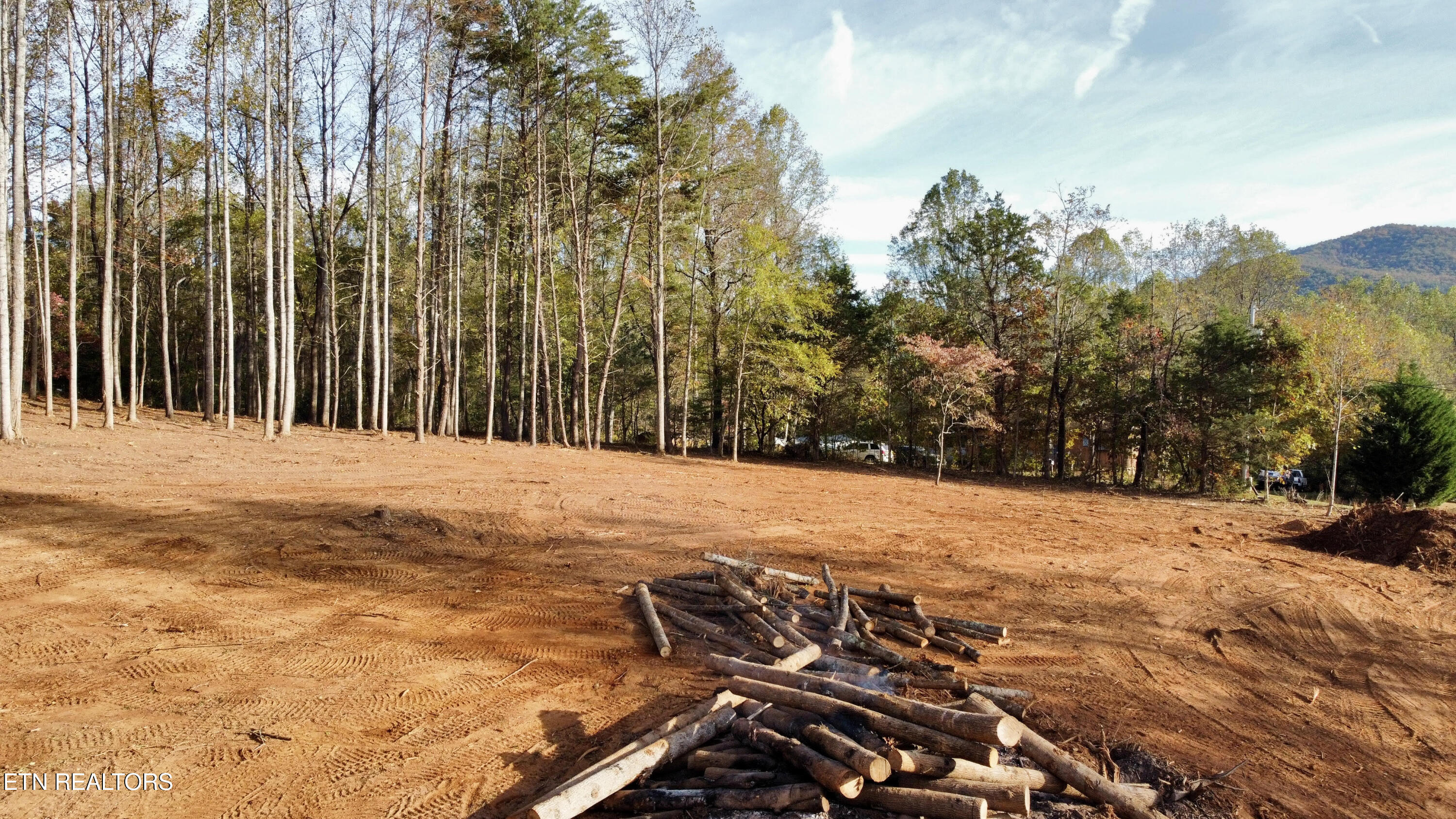 Lot 3 Peachie Way Cosby TN 37722