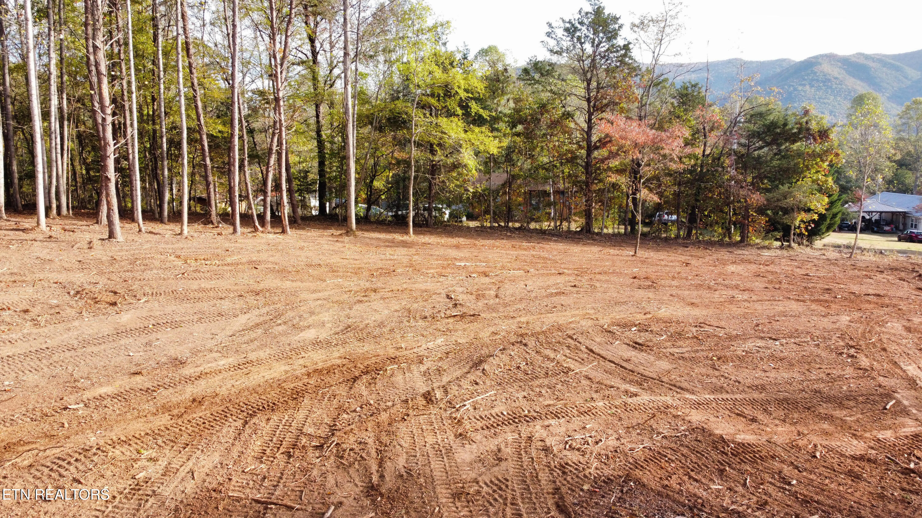 Lot 3 Peachie Way Cosby TN 37722