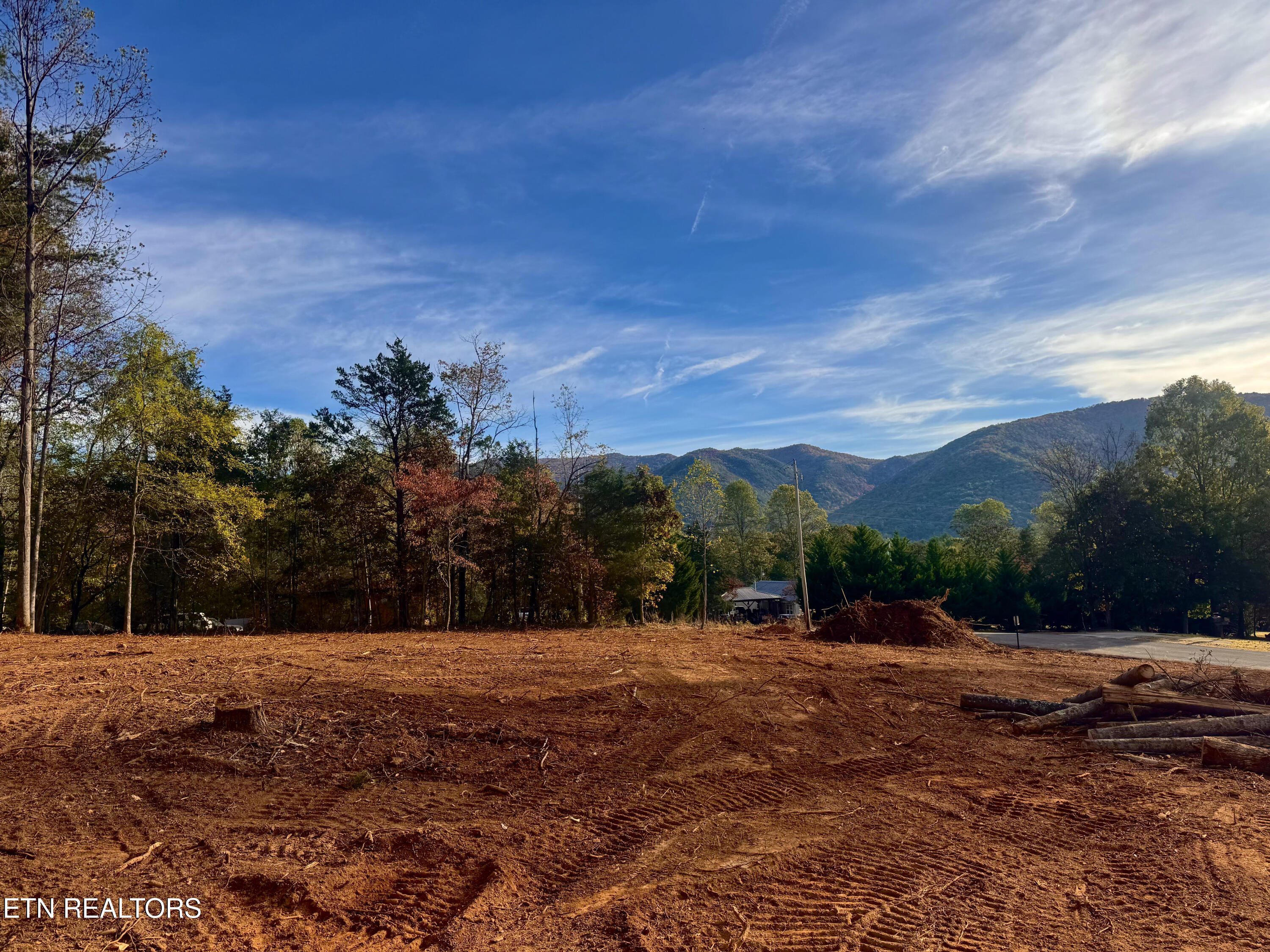Lot 3 Peachie Way Cosby TN 37722