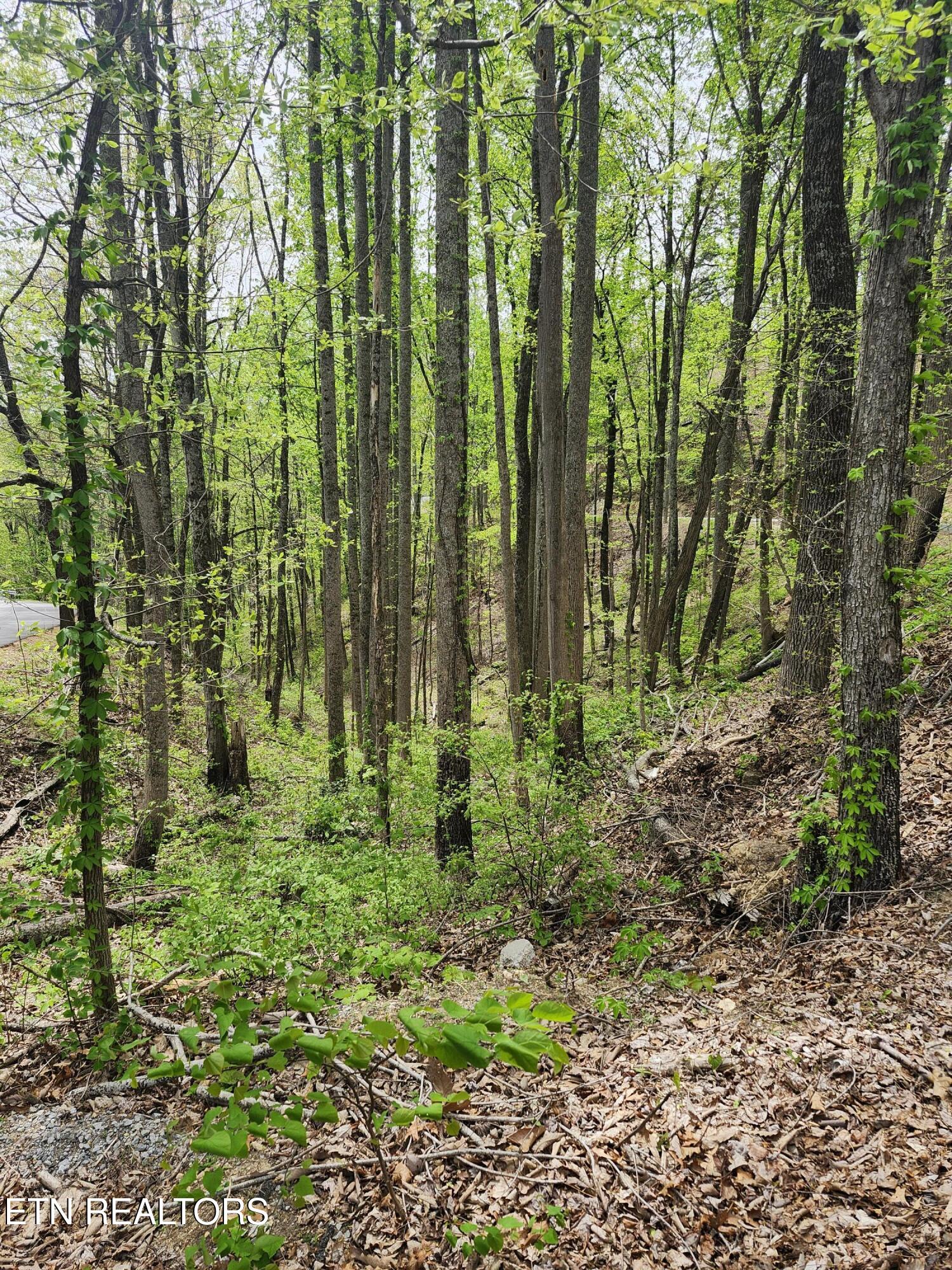 Lot 1 Hatcher Mountain Road Sevierville TN 37862
