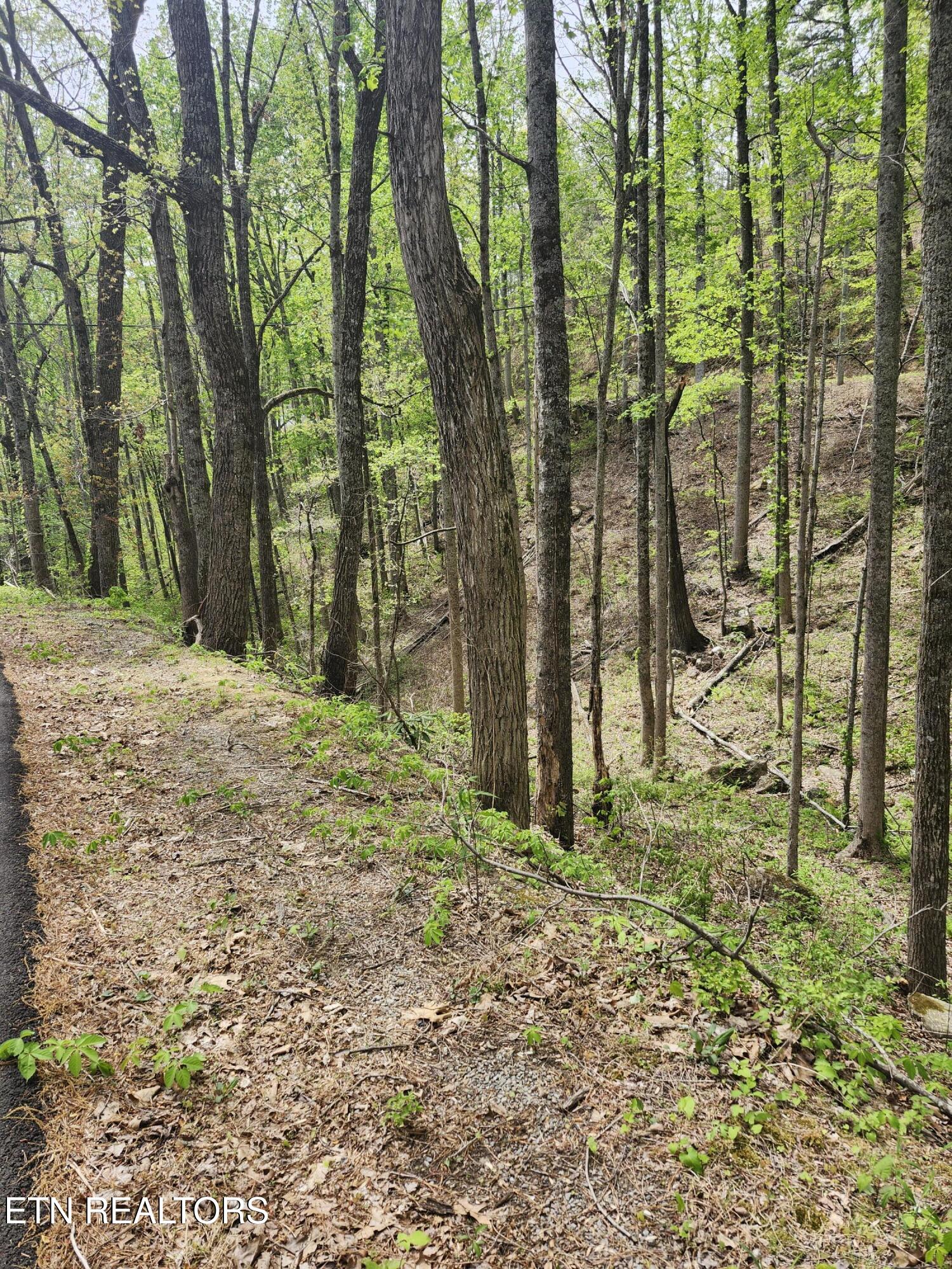 Lot 1 Hatcher Mountain Road Sevierville TN 37862