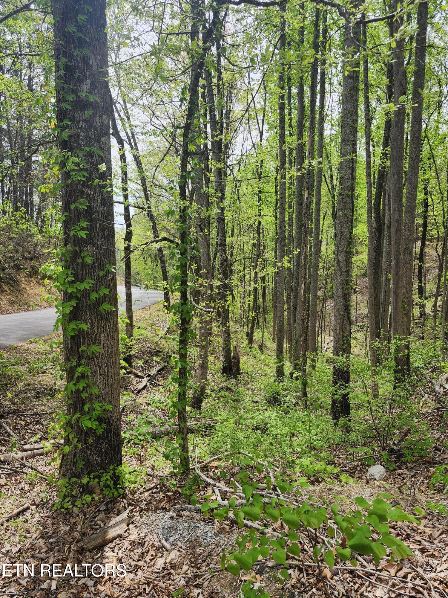Lot 1 Hatcher Mountain Road Sevierville TN 37862