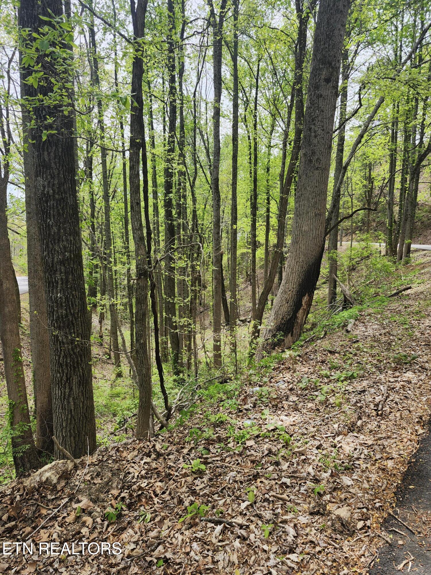 Lot 1 Hatcher Mountain Road Sevierville TN 37862