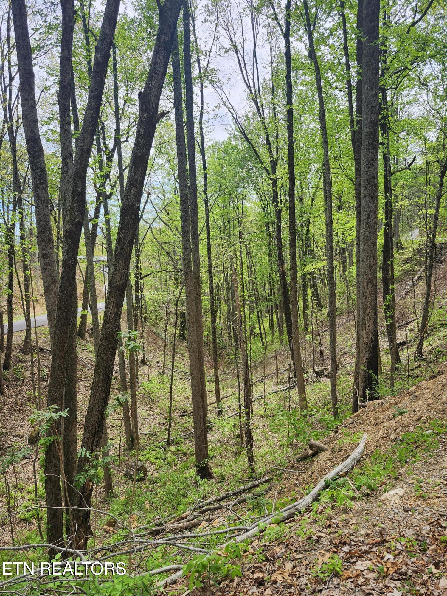 Lot 1 Hatcher Mountain Road Sevierville TN 37862