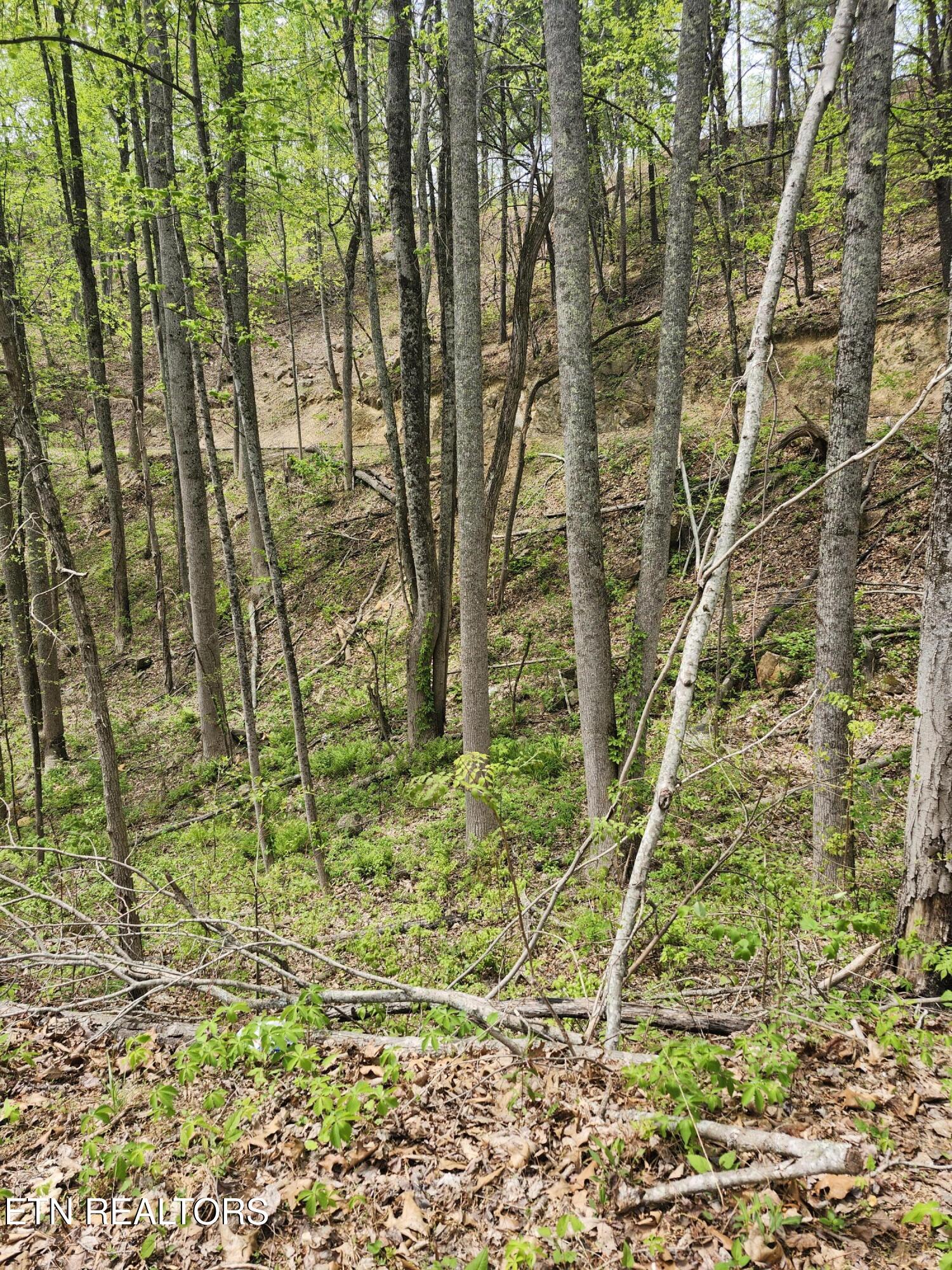 Lot 1 Hatcher Mountain Road Sevierville TN 37862