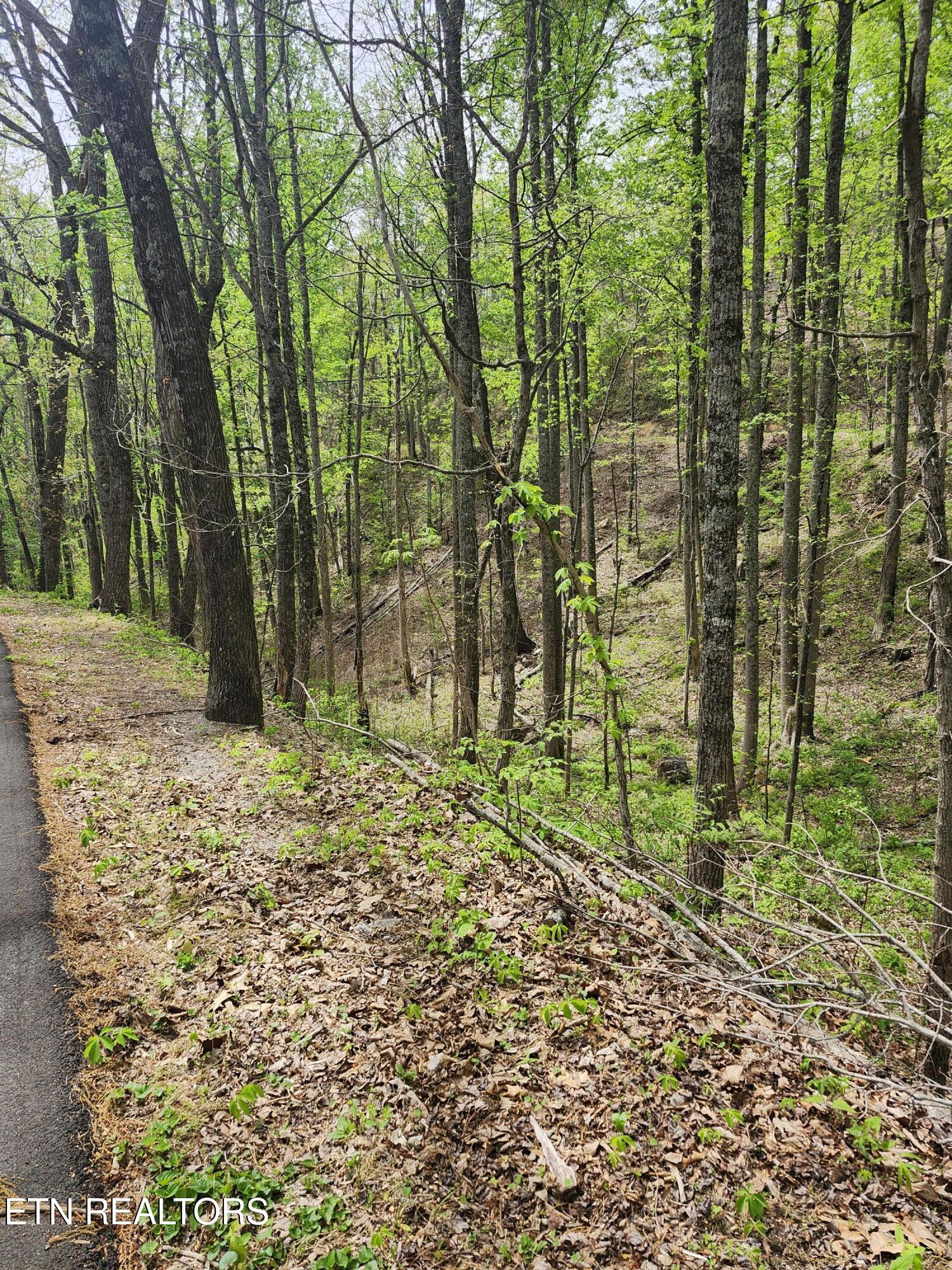 Lot 1 Hatcher Mountain Road Sevierville TN 37862