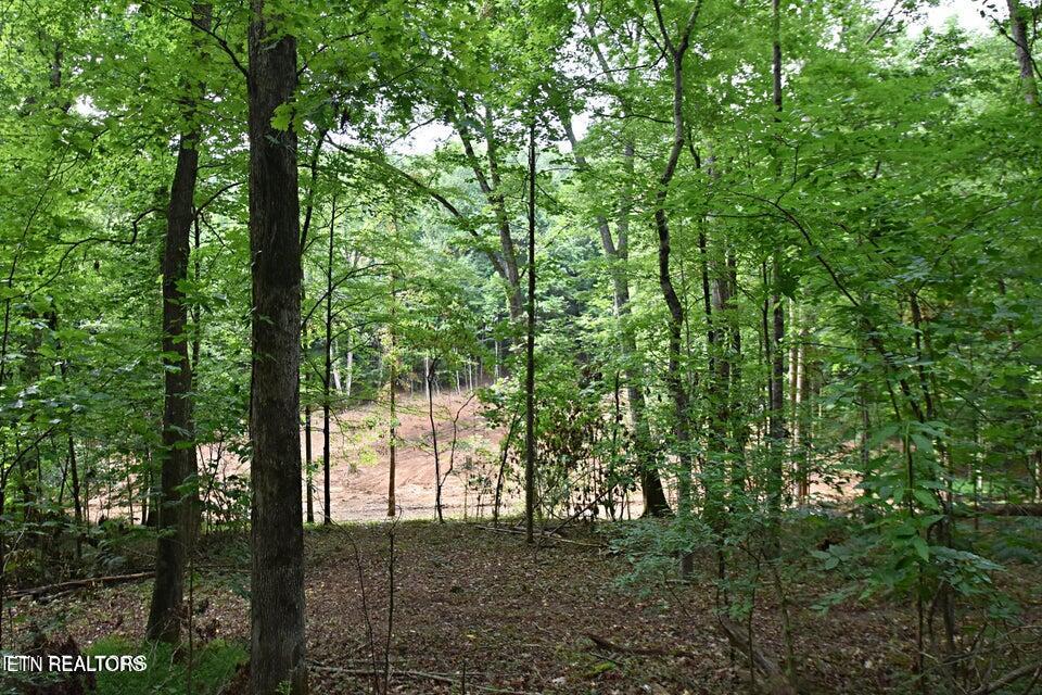 0 Early Road Knoxville TN 37922