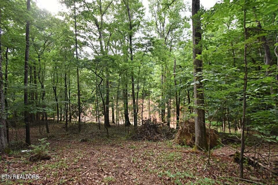 0 Early Road Knoxville TN 37922