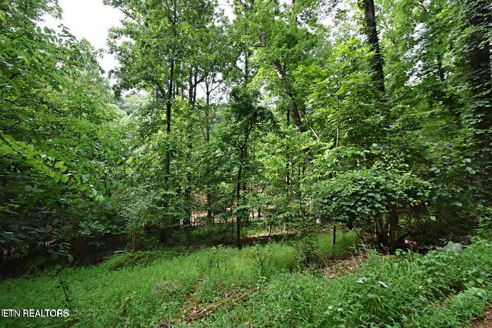 0 Early Road Knoxville TN 37922