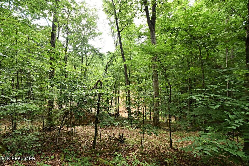 0 Early Road Knoxville TN 37922