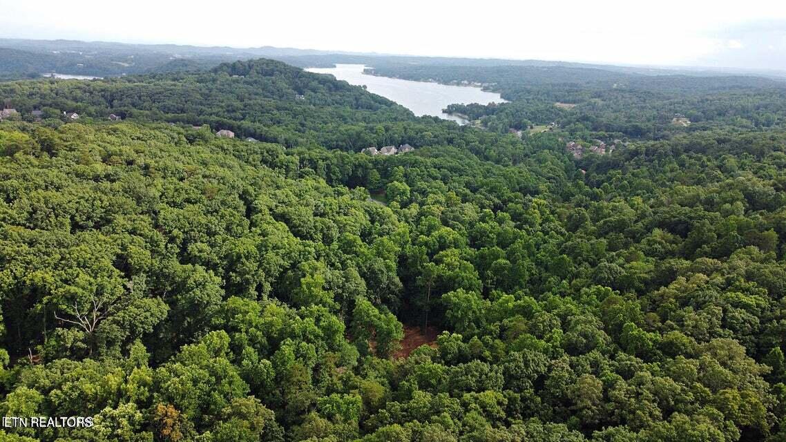 0 Early Road Knoxville TN 37922