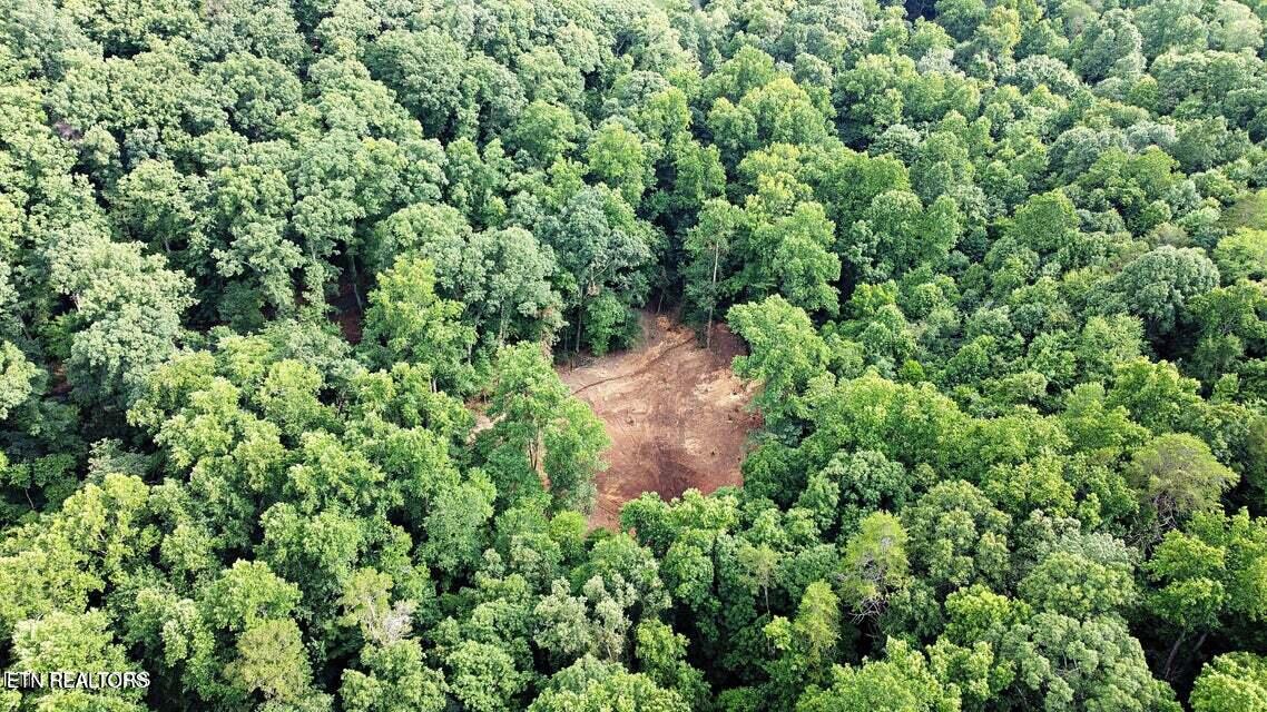 0 Early Road Knoxville TN 37922