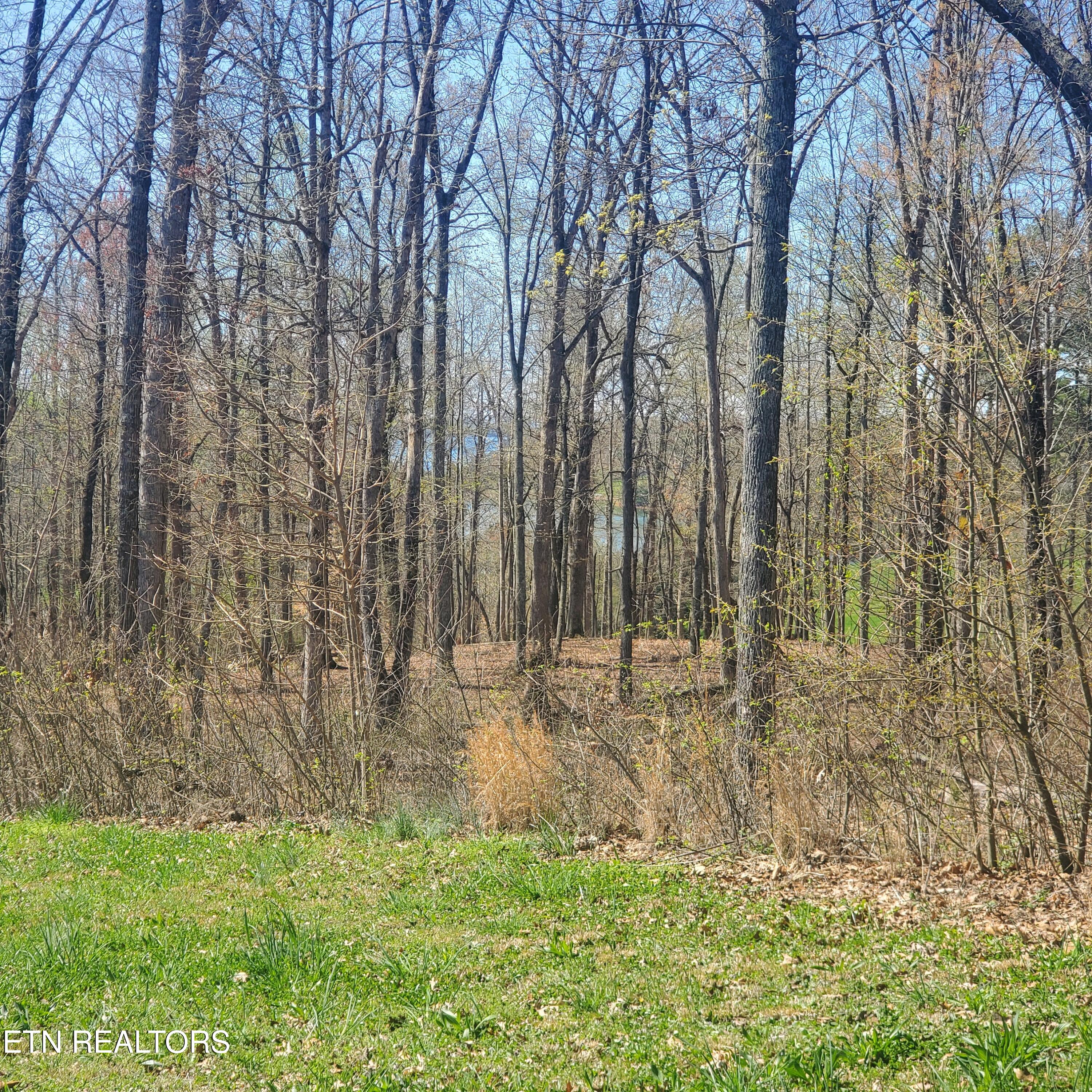 Lot 136 Tumbleweed Trail Rutledge TN 37861